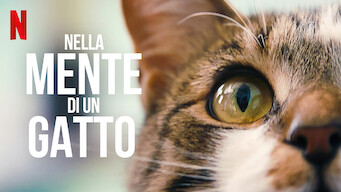 Nella mente di un gatto (2022)