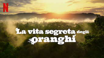 La vita segreta degli oranghi (2024)