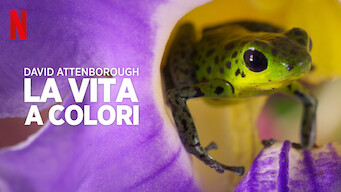 David Attenborough: la vita a colori (2021)