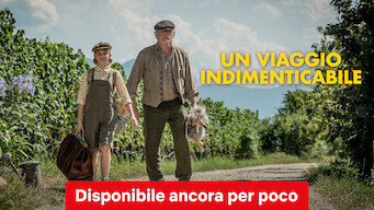 Un viaggio indimenticabile (2018)