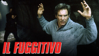 Il fuggitivo (1993)